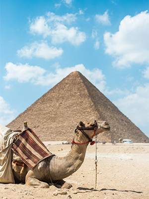 Cairo